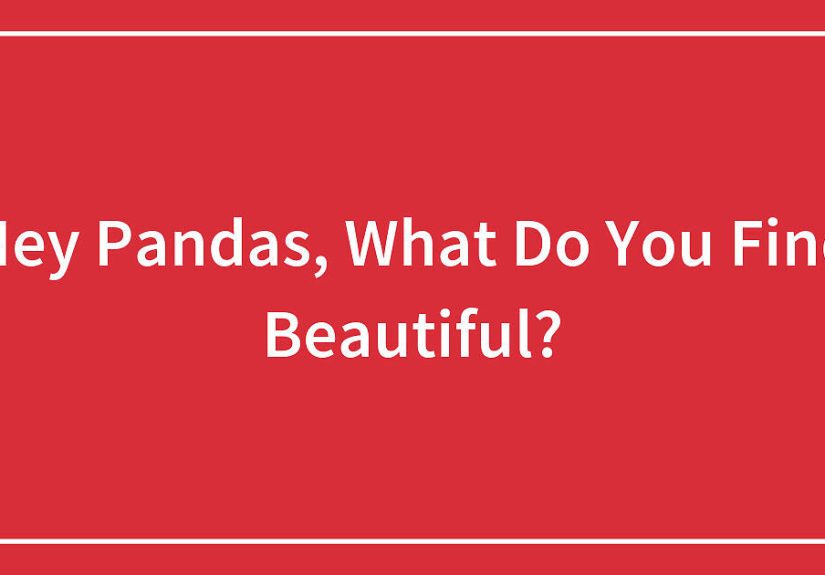 Hey Pandas, What Do You Find Beautiful?