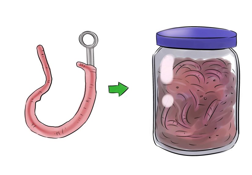 How to Bait a Hook with a Worm: 10 Steps