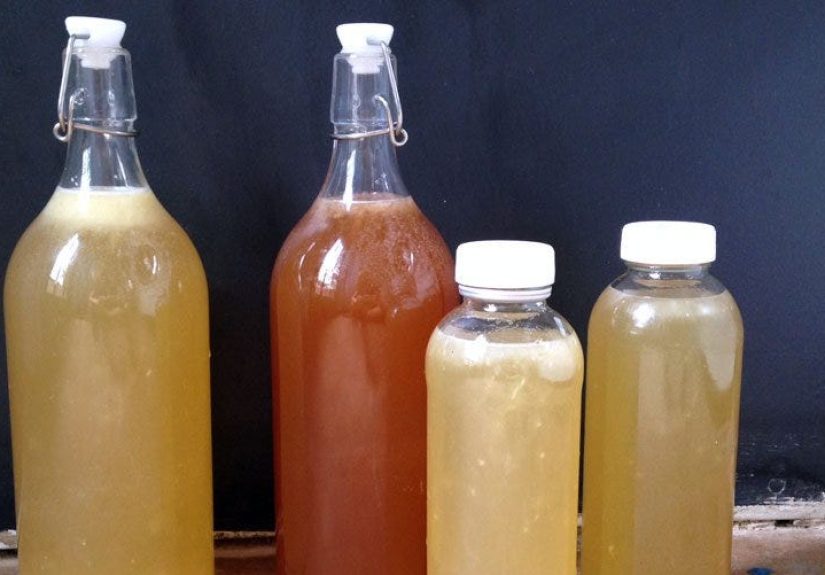 How to Make Kombucha With a Scoby - Homemade Kombucha Recipe