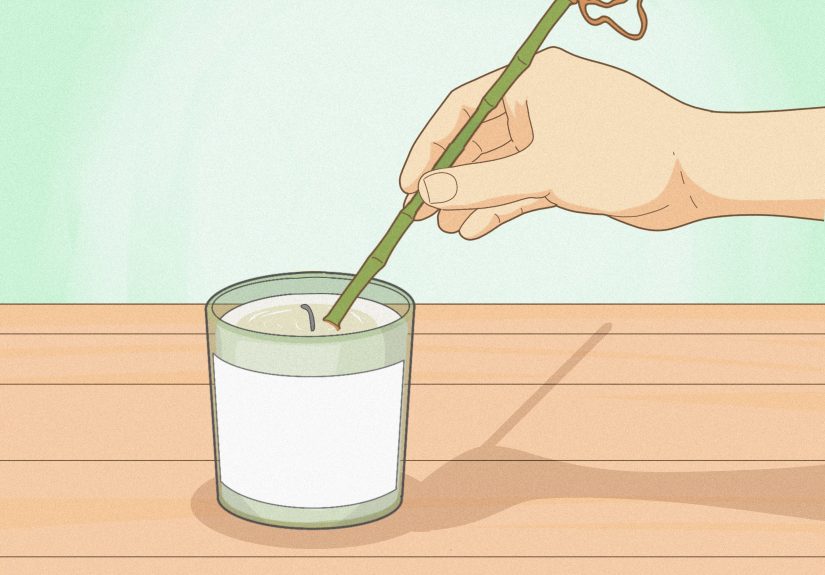 How to Propagate Lucky Bamboo: 2 Step-by-Step Methods