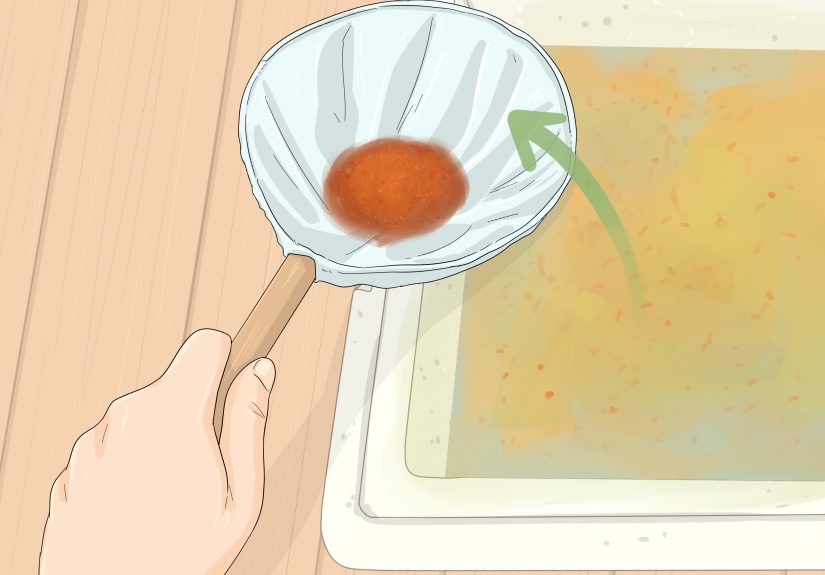 How to Start Daphnia Cultures: 15 Steps