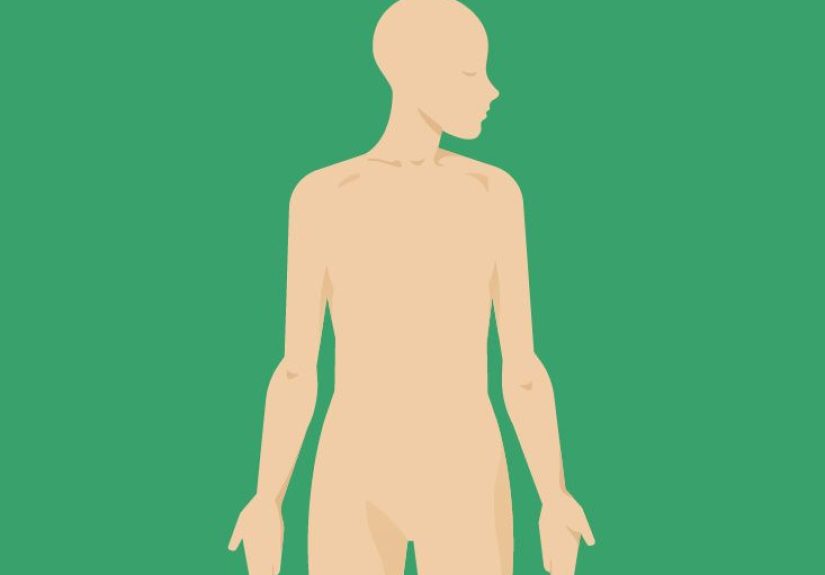 Mammary Duct Anatomy, Function & Diagram