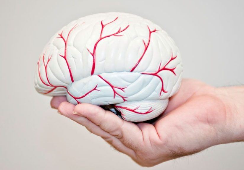 Neuropsychologist: Definition and Patient Education