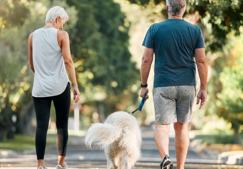 Study: Scientists Reveal Everyday Activity Can Improve Your Memory