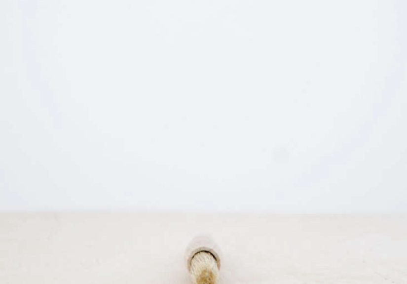 This Is Paper Cake Brush