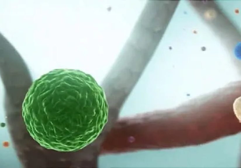 Video on 4 Ways You’re Weakening Your Immune System