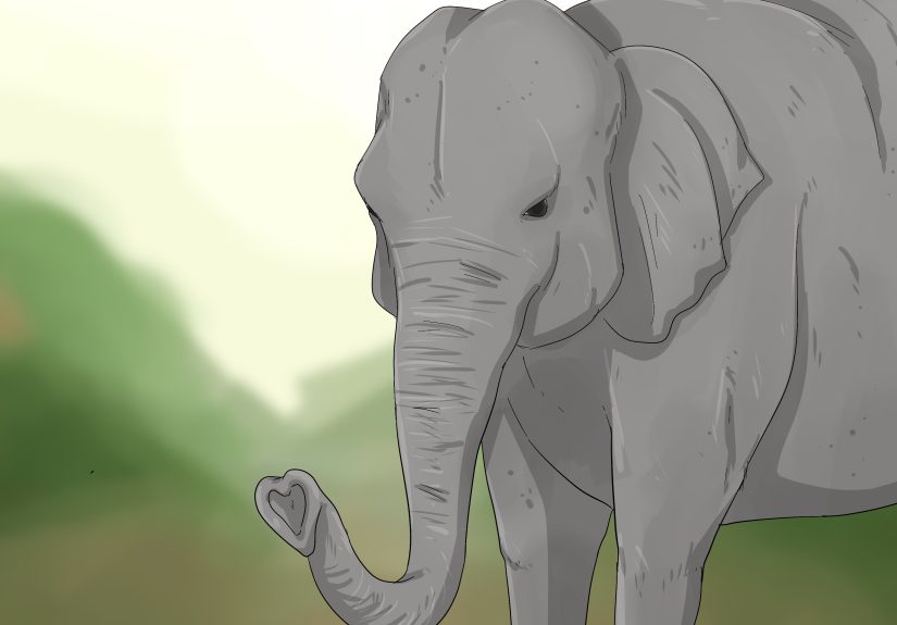 What Animal Symbolizes Love? 11+ Animals & Their Meanings