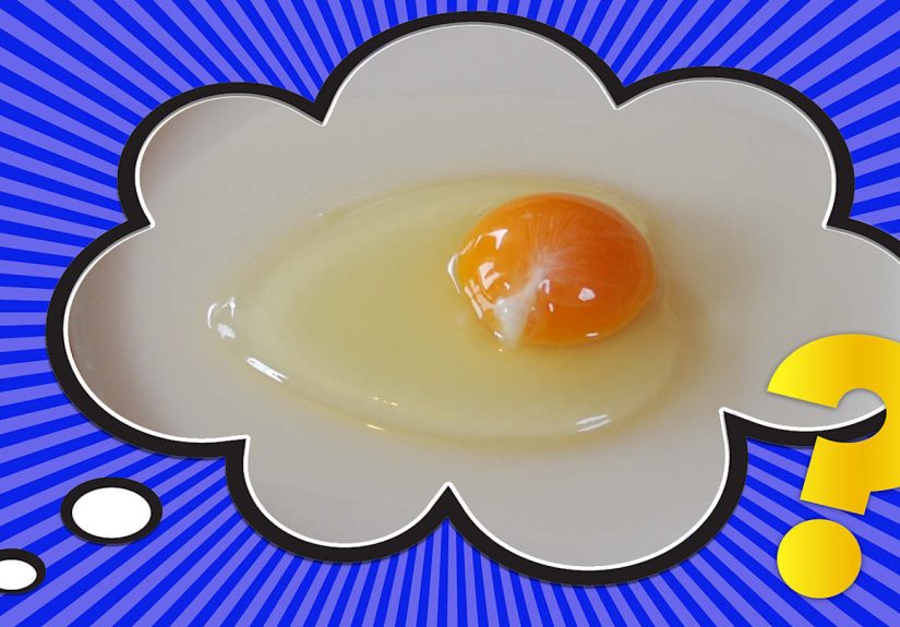 What’s the Little White Thing in an Egg?